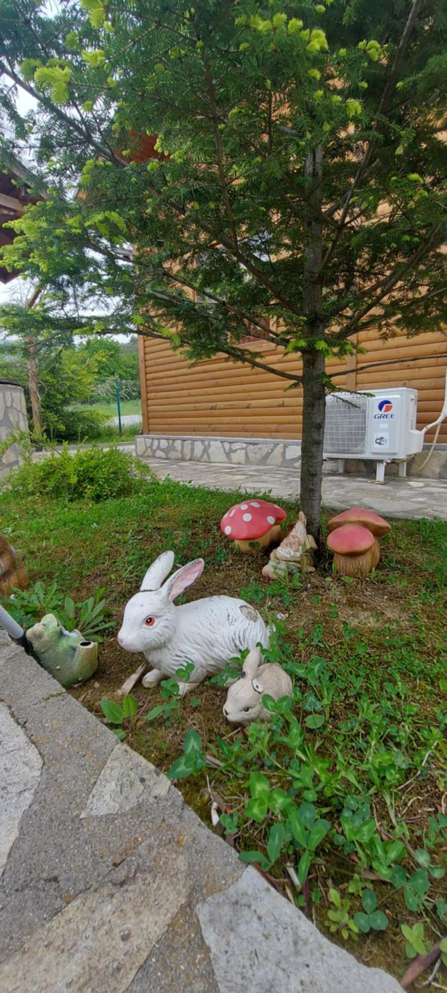 Mini Complex Rilski Terasi Sapareva Banja Exteriör bild