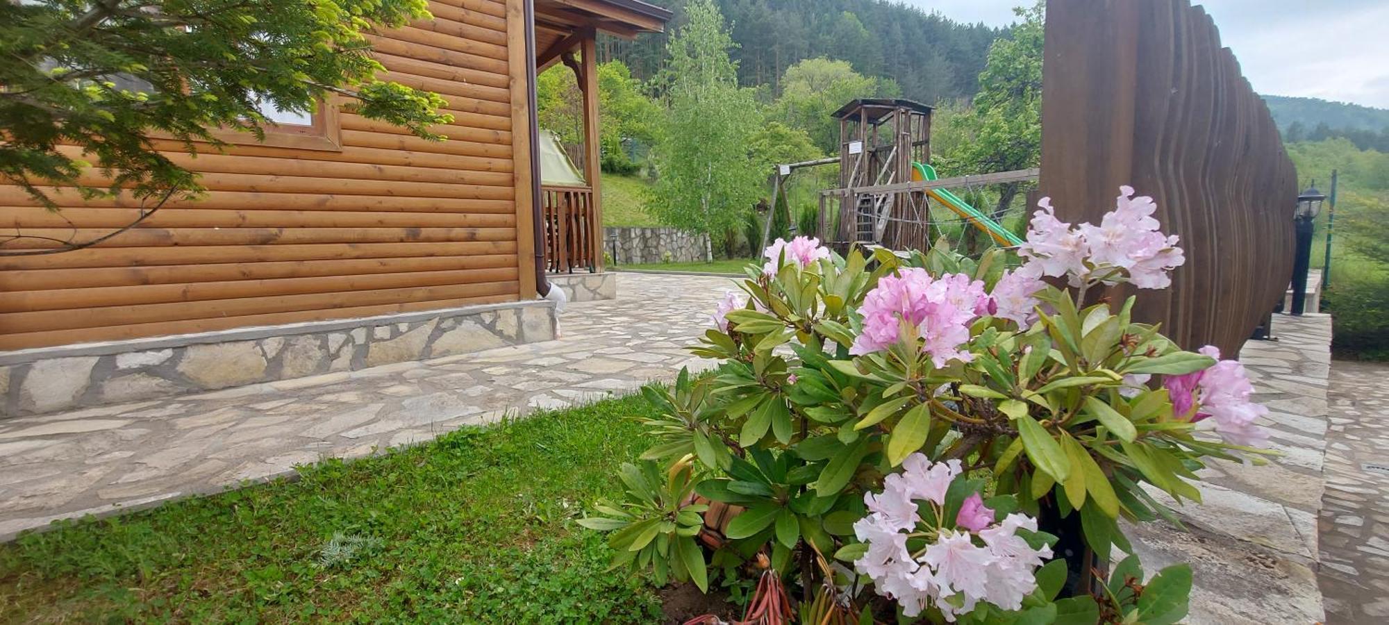Mini Complex Rilski Terasi Sapareva Banja Exteriör bild