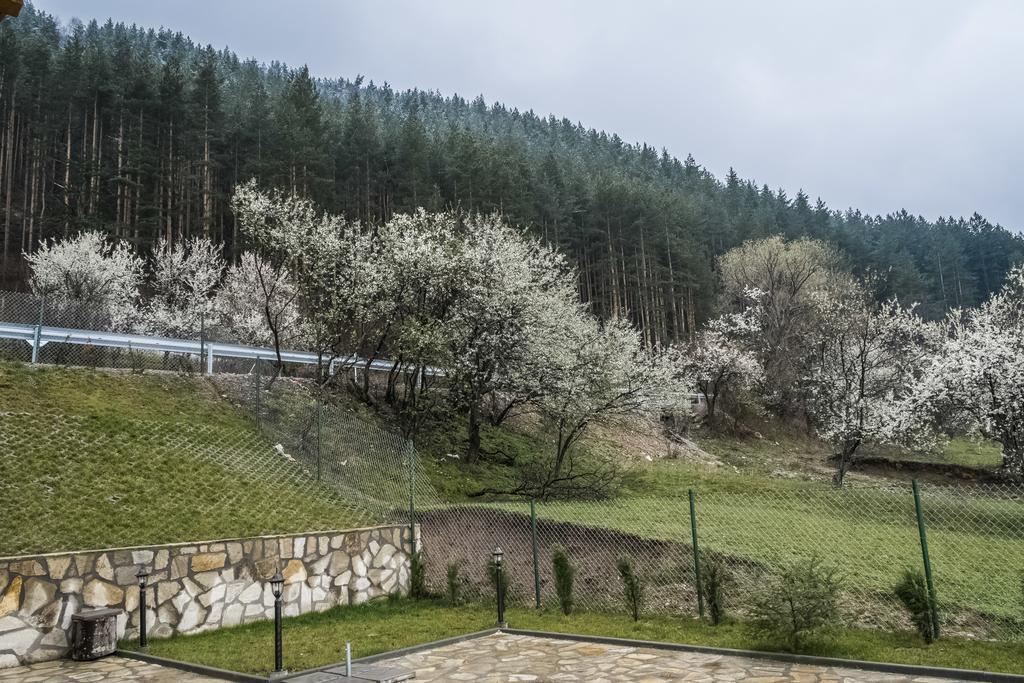 Mini Complex Rilski Terasi Sapareva Banja Exteriör bild